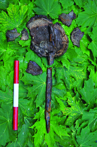 A piece of skull with a wooden spike. (Image: S. Gummesson et al., 2018)